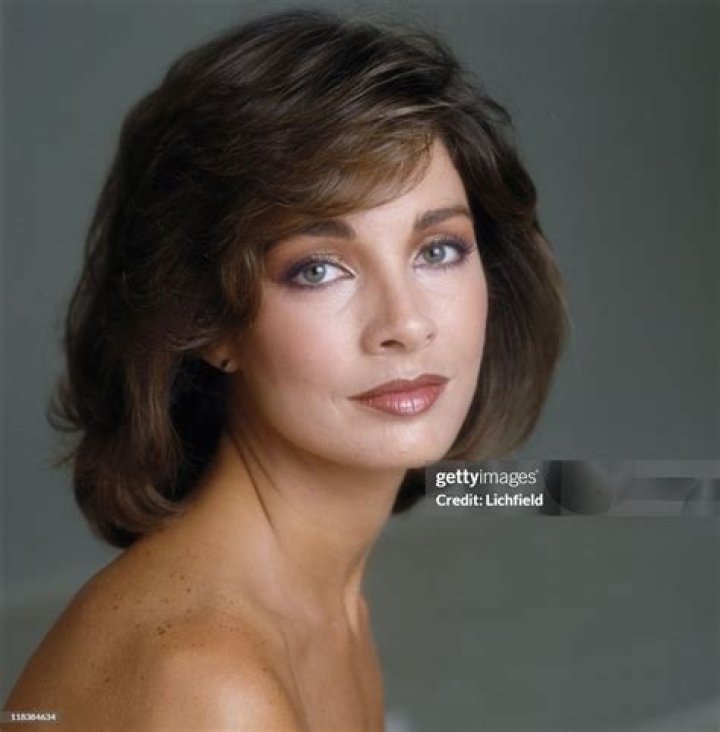 Anne Archer: Exploring the Enduring Presence of a Hollywood Figure