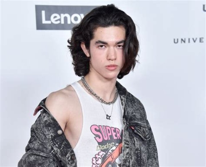 Is Conan Gray Gay? Exploring the Artist's Public Statements and Identity