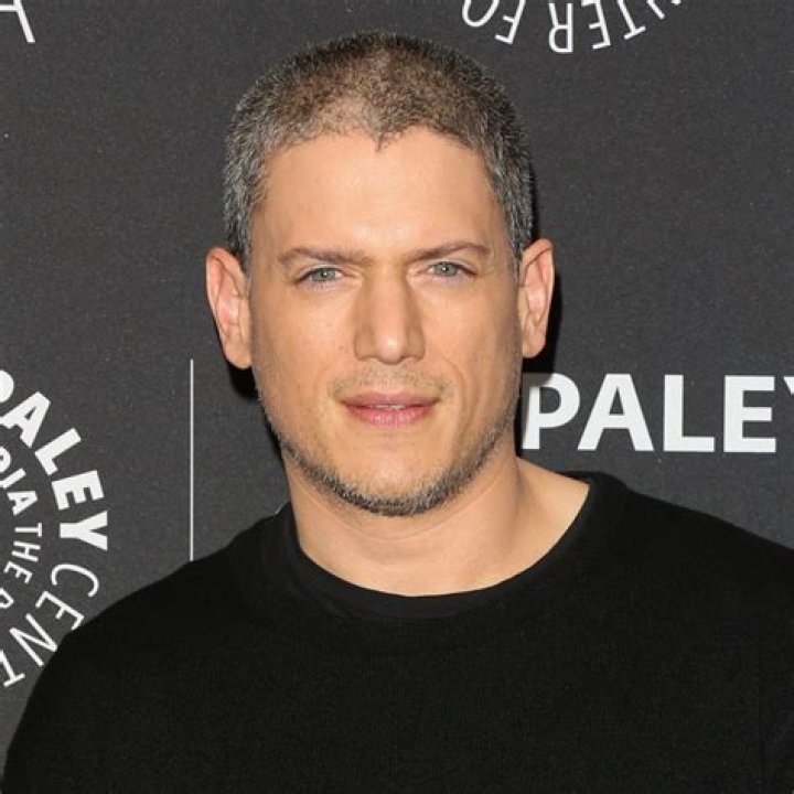 Wentworth Miller Net Worth 2024: What's His Financial Picture?